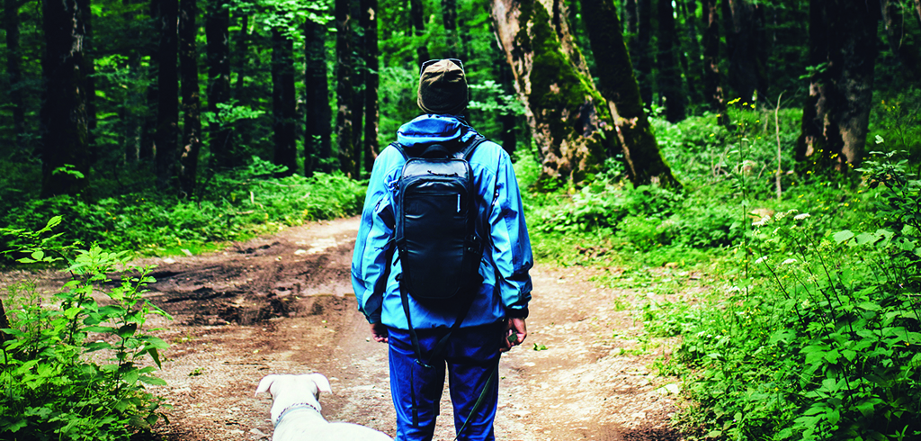 Nos forêts, indissociables de notre futur !